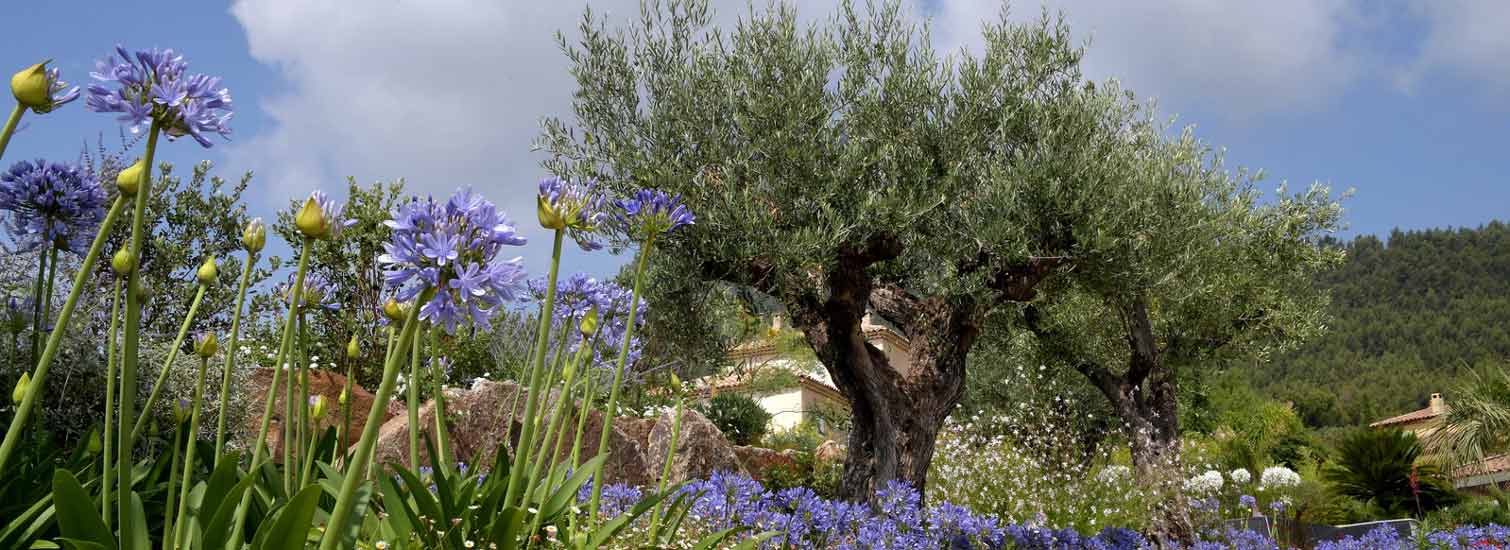 Jardin Travaux Meilleur Projet